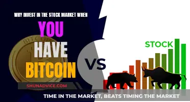 Stock Market vs Bitcoin: Where Should You Invest?