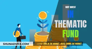 Thematic Funds: Diversify Your Portfolio, Invest in the Future