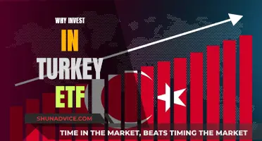 Turkey ETF: Why You Should Invest Now