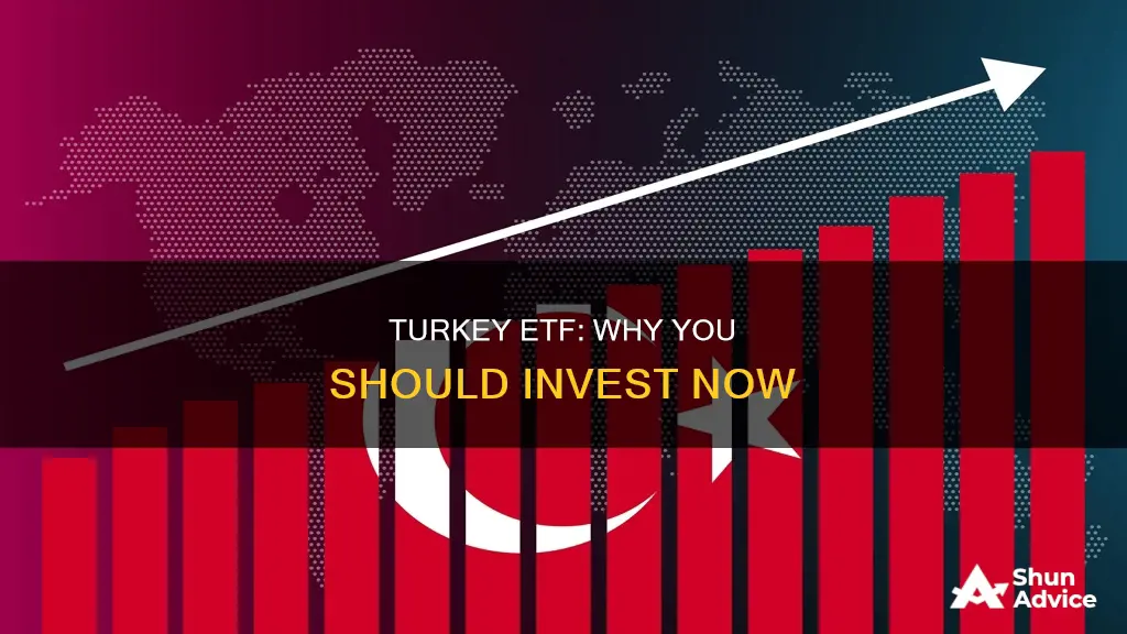 why invest in turkey etf