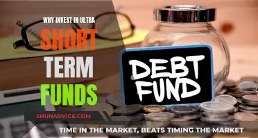 Smart Money: Ultra-Short Term Funds Explained