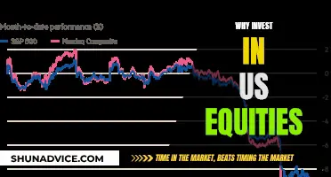 Invest in US Equities: A Smart, Stable Choice