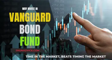 Vanguard Bond Fund: A Smart Investment Decision