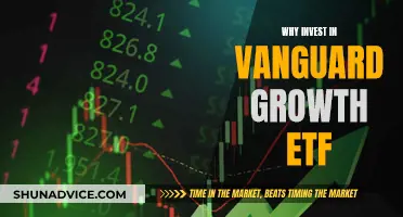 Vanguard Growth ETF: Smart Investment for Long-Term Returns