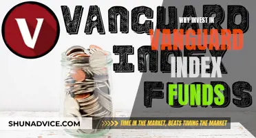 Vanguard Index Funds: Smart, Secure, Long-Term Investment Options