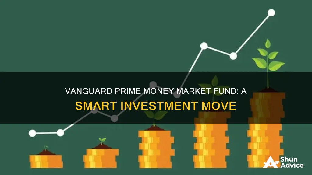 why invest in vanguard prime money market fund