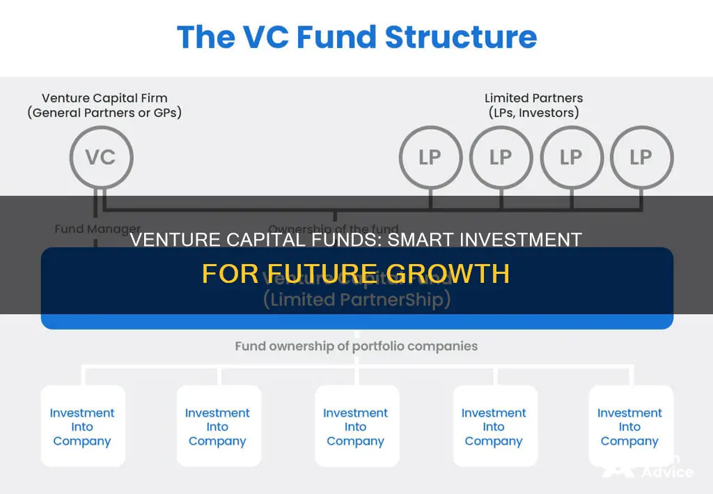 why invest in venture capital fund