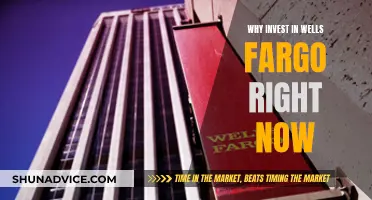 Invest in Wells Fargo: Now or Never?