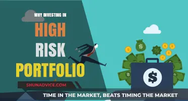 Unleashing the Power of High-Risk Portfolios: Navigating the Storm for Big Rewards