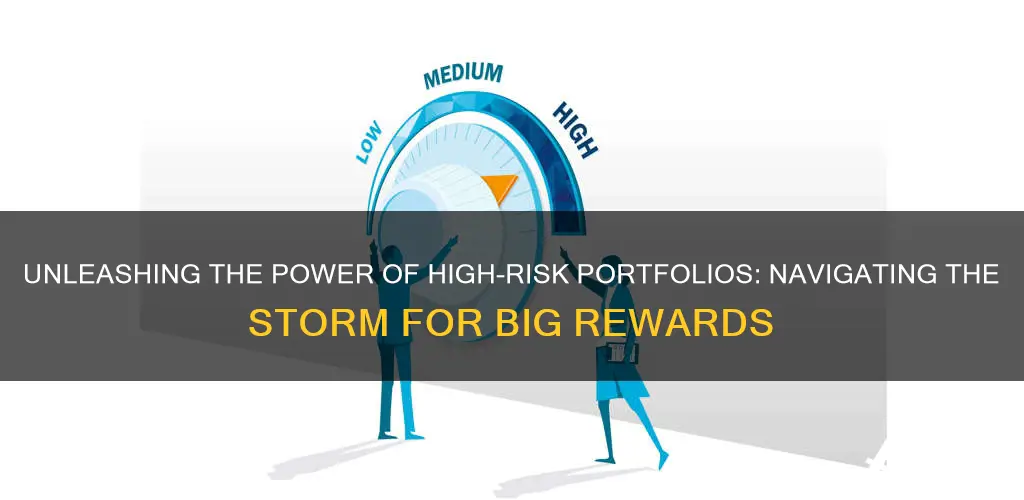 why investing in high risk portfolio