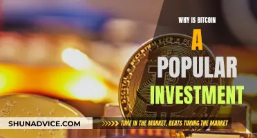 Bitcoin's Investment Appeal: Why It's a Popular Choice