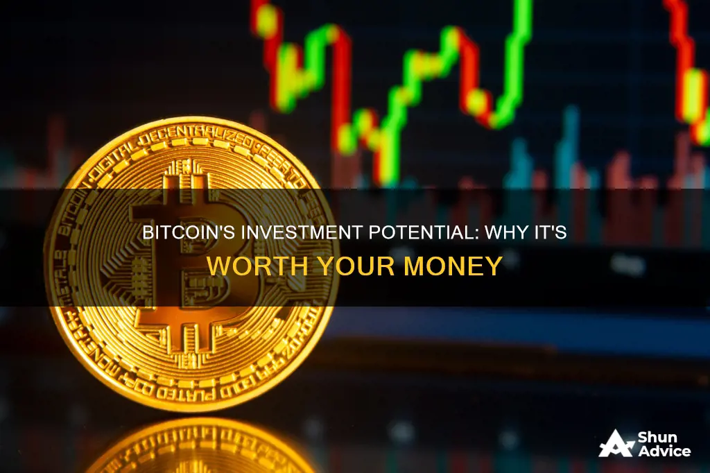 why is bitcoin an investment