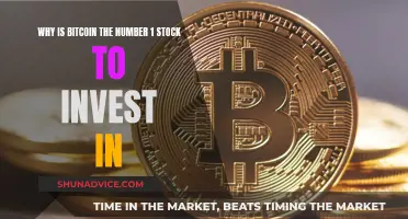 Bitcoin: The Ultimate Investment Stock