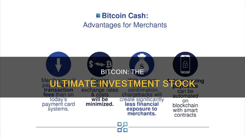 why is bitcoin the number 1 stock to invest in