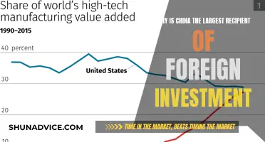 China's Magnetism: Unlocking Foreign Investment Secrets