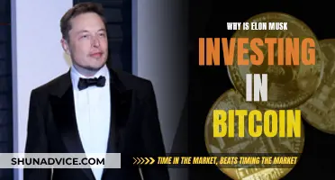 Elon Musk's Bitcoin Strategy: Why Invest?