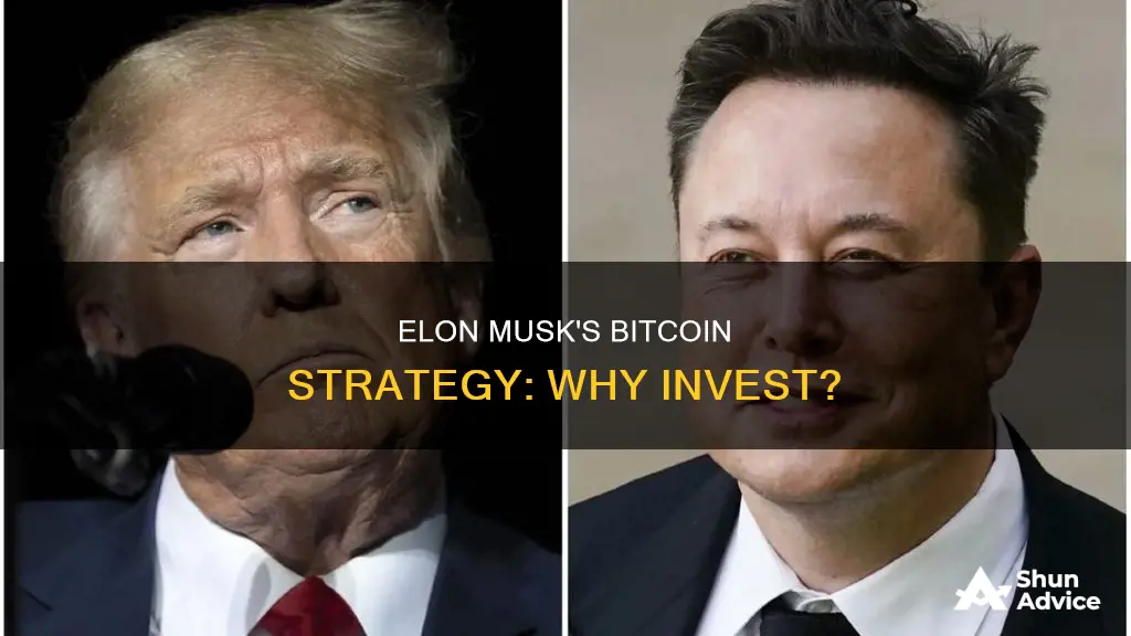 why is elon musk investing in bitcoin