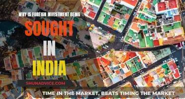 Unlocking India's Potential: Why Foreign Investment is a Game-Changer