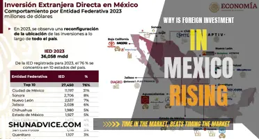 Mexico's Rising Appeal: Unlocking Foreign Investment Secrets