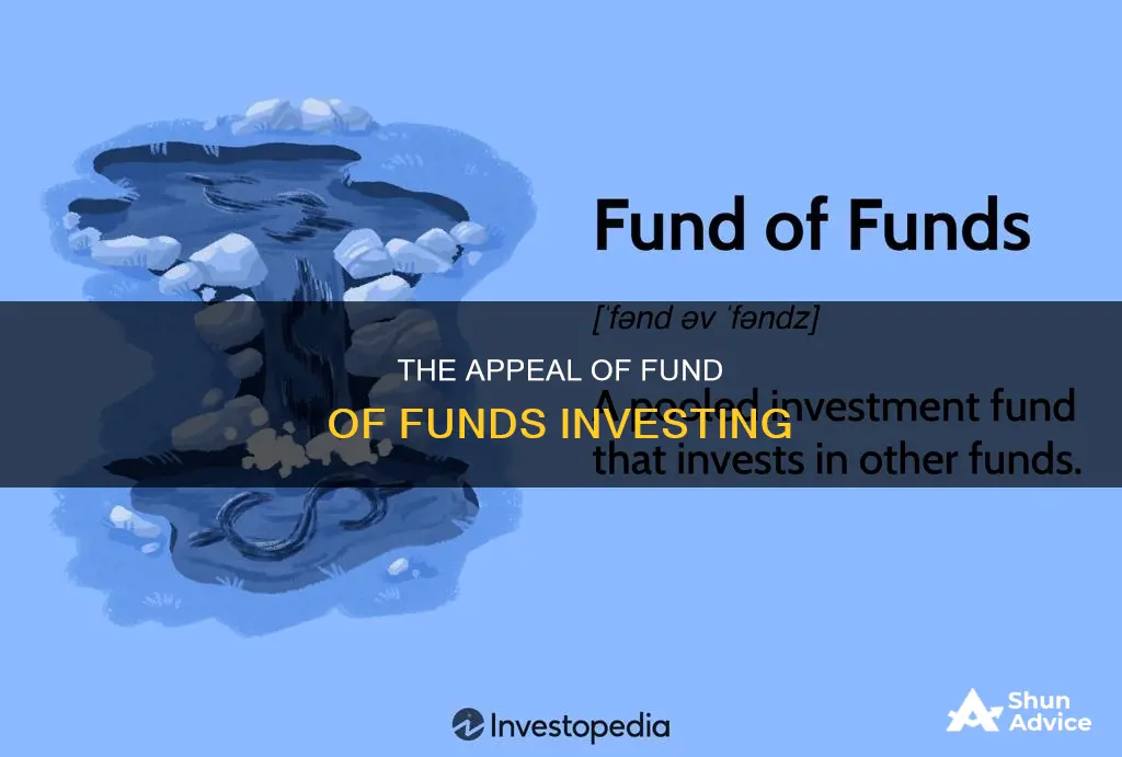 why is fund of funds investing appealing