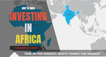 India's Investment in Africa: A Strategic Partnership