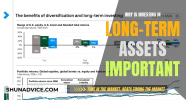 Long-Term Assets: The Key to Securing Your Financial Future