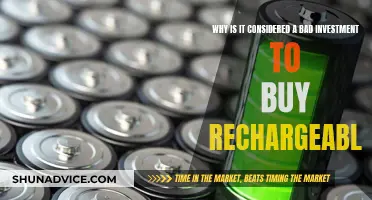 Rechargeable Batteries: Waste of Money?