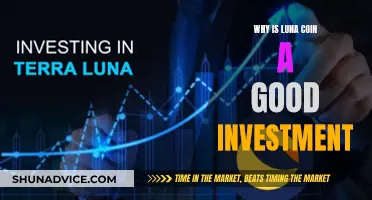 Luna Coin: A Smart Investment Decision?