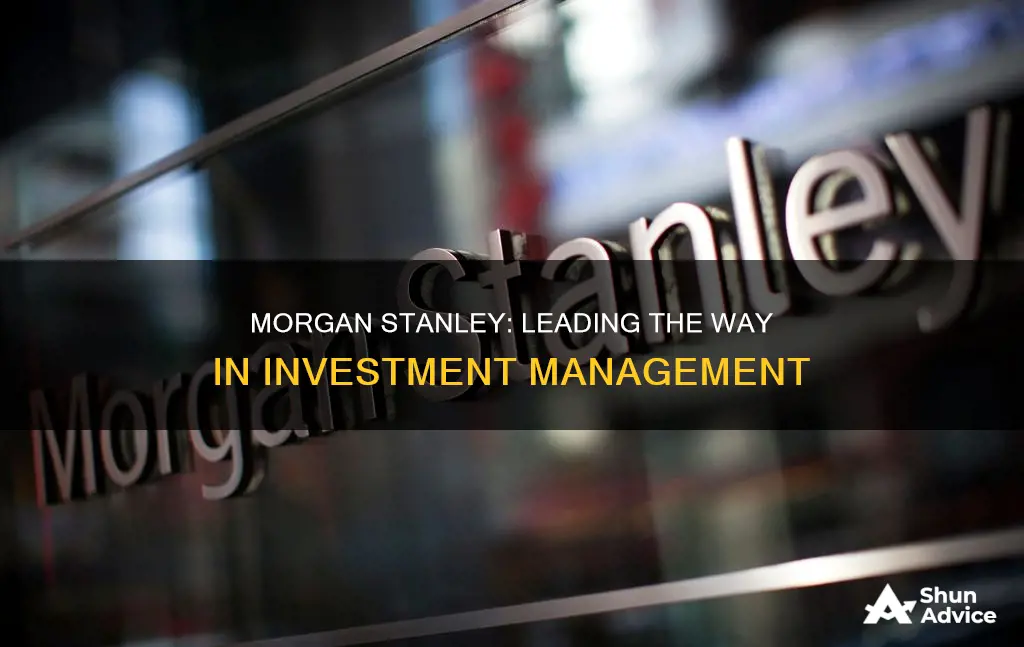 why is morgan stanley great investment management