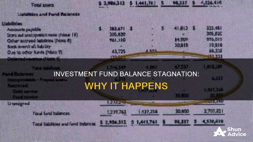 why is my investment fund balance the same as yesterday