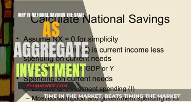 National Savings, Investment, and Their Symbiotic Relationship