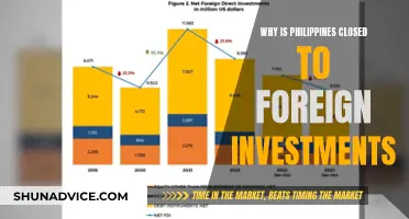 The Philippines' Investment Paradox: A Complex Web of Factors