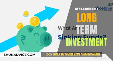 Sinking Fun: How Long-Term Investments Pay Off