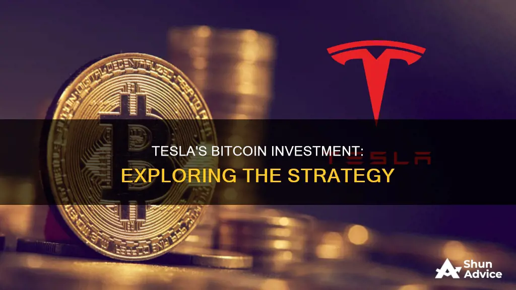 why is tesla investing in bitcoin