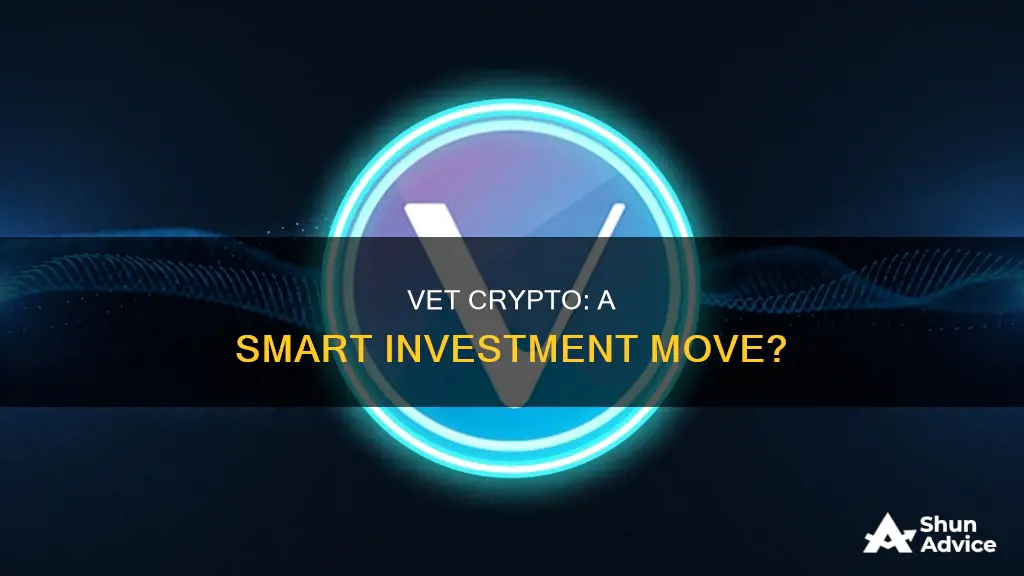 why is vet crypto a good investment