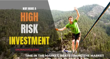 High-Risk Investments: Why Take the Gamble?