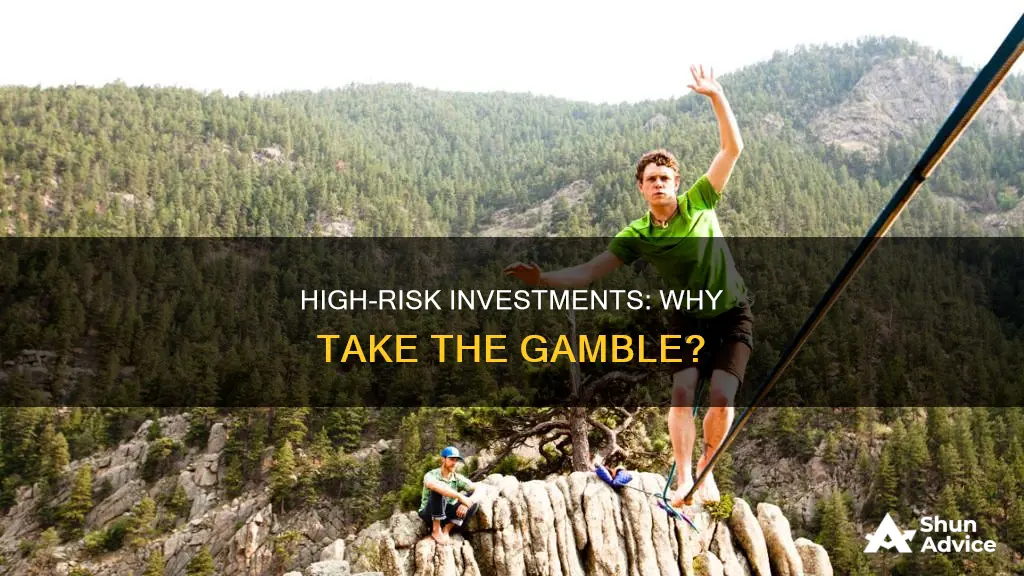 why make a high risk investment