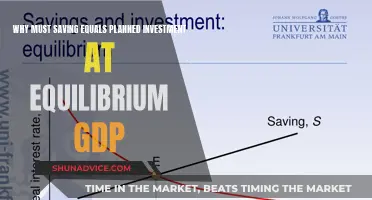 Equilibrium GDP: Saving, Investment, and their Symbiotic Relationship