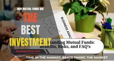 Mutual Funds: Best Investment Option for Your Money