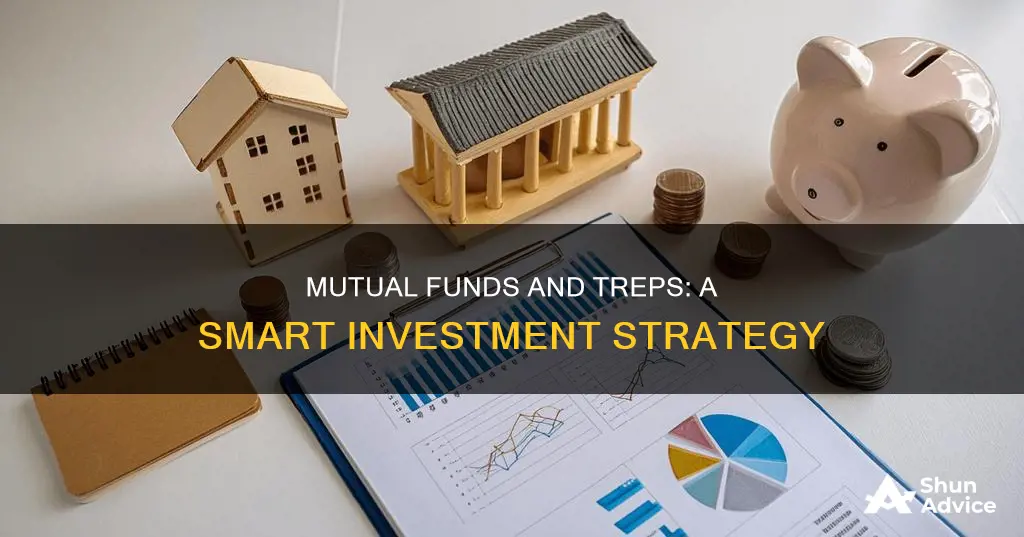 why mutual funds invest in treps