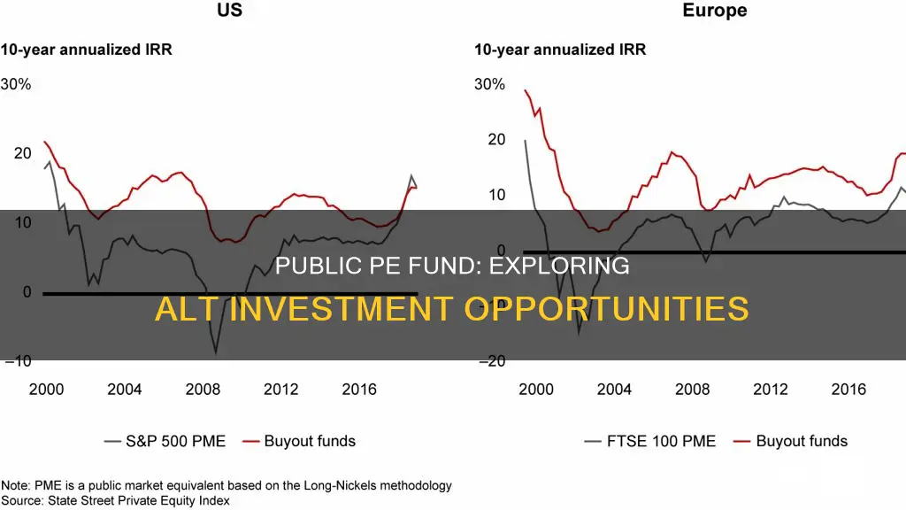 why not create a alt investment public pe fund