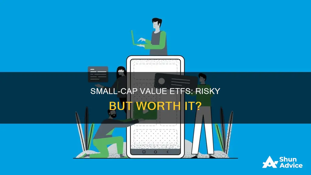 why not invest 100 percent in small cap value etf