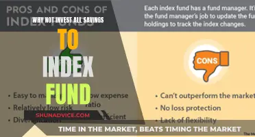 Index Funds: Smart Savings or Risky Business?