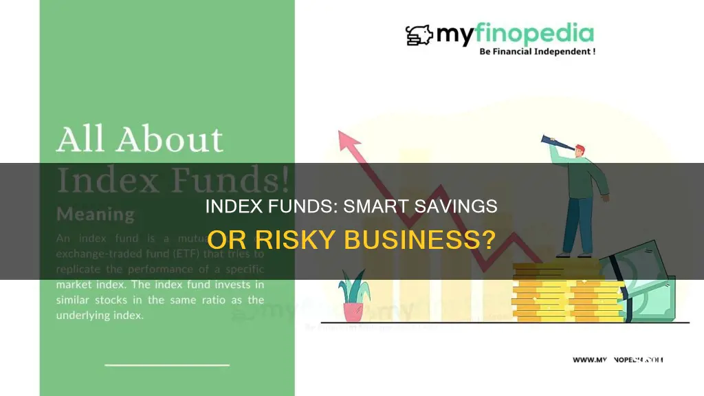 why not invest all savings to index fund