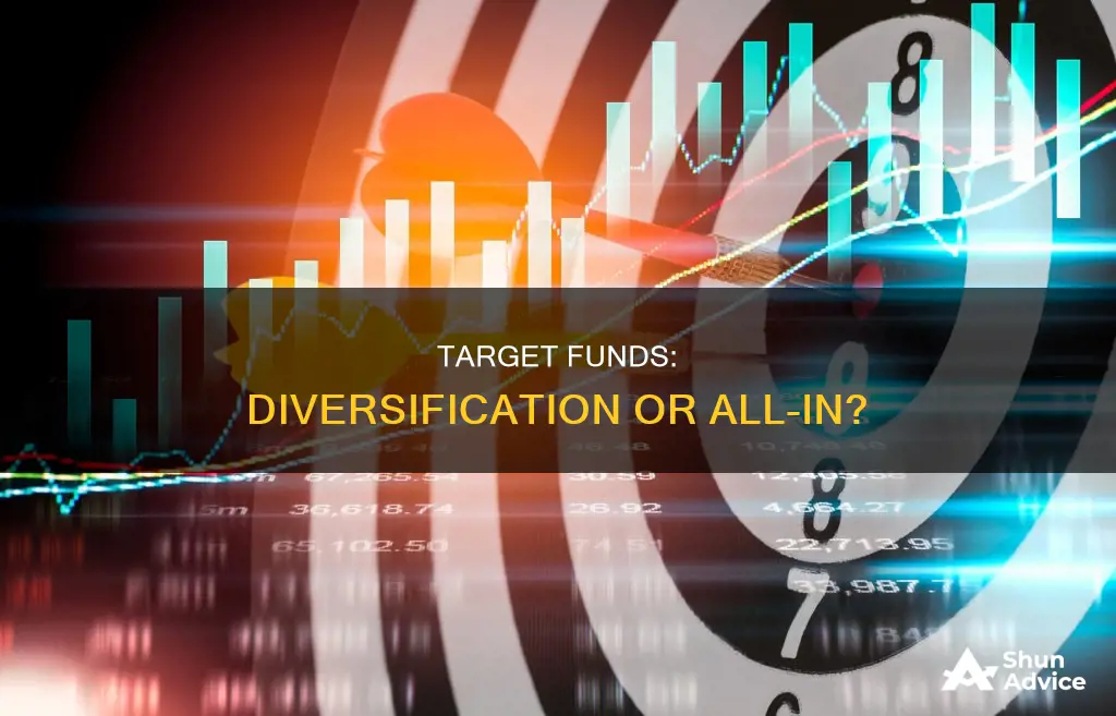 why not invest everything in a target fund