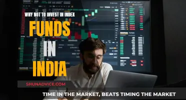 Index Funds in India: Risky Business