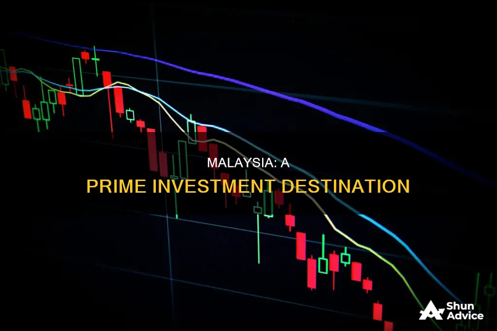 why other country make investment in malaysia