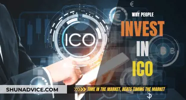 ICO Investment: Why the Risk?