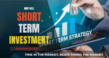 Maximizing Returns: The Benefits of Short-Term Investments