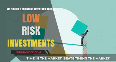 Low-Risk Investments: The Smart Choice for New Investors